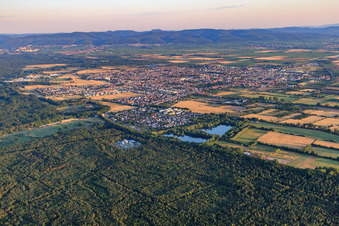 Aerial photograpy of City overview from the southeast in Haßloch in the state Rhineland-Palatinate, Germany