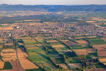 City overview from the east in Haßloch in the state Rhineland-Palatinate, Germany