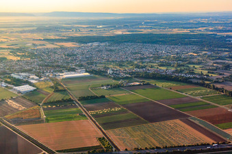Aerial view of City overview from the west in Schifferstadt in the state Rhineland-Palatinate, Germany