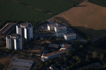 District Oggersheim in Ludwigshafen am Rhein in the state Rhineland-Palatinate, Germany from the drone perspective