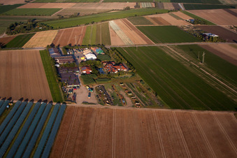 Mutterstadt in the state Rhineland-Palatinate, Germany from the plane