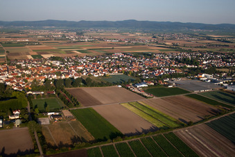 District Dannstadt in Dannstadt-Schauernheim in the state Rhineland-Palatinate, Germany out of the air
