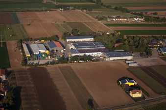 Havita fresh salads in the district Dannstadt in Dannstadt-Schauernheim in the state Rhineland-Palatinate, Germany