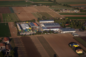 Aerial view of Havita fresh salads in the district Dannstadt in Dannstadt-Schauernheim in the state Rhineland-Palatinate, Germany