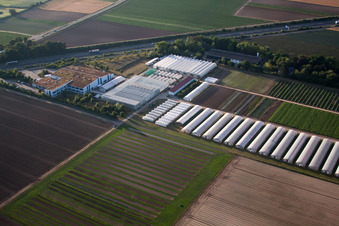 Aerial photograpy of Enza Zaden Germany GmbH in the district Dannstadt in Dannstadt-Schauernheim in the state Rhineland-Palatinate, Germany