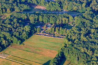 Firewood Hassloch in Haßloch in the state Rhineland-Palatinate, Germany