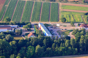 Colorful terraced houses in Am Weiher in Weingarten in the state Rhineland-Palatinate, Germany
