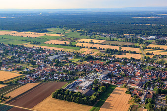 Aerial view of Günter's Garage Car Repair Shop and Löwen Distillery GmbH in the district Niederlustadt in Lustadt in the state Rhineland-Palatinate, Germany