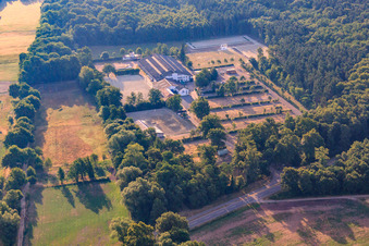 Aerial view of Riding and Driving Club Zeiskam eV in Zeiskam in the state Rhineland-Palatinate, Germany