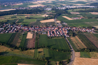 Erlenbach bei Kandel in the state Rhineland-Palatinate, Germany from the plane
