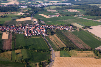 From the north in Erlenbach bei Kandel in the state Rhineland-Palatinate, Germany out of the air