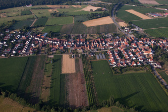 Bird's eye view of From the north in Erlenbach bei Kandel in the state Rhineland-Palatinate, Germany