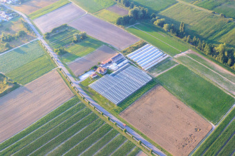 Aerial view of Sandhof in Herxheim bei Landau in the state Rhineland-Palatinate, Germany