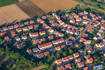 Aerial view of Cherry Trail in Bellheim in the state Rhineland-Palatinate, Germany
