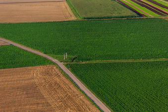 Aerial view of Stealing at the Palatinate Panorama Bench in Herxheim bei Landau in the state Rhineland-Palatinate, Germany
