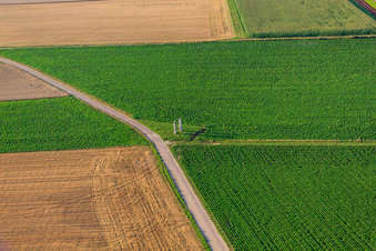 Aerial photograpy of Stealing at the Palatinate Panorama Bench in Herxheim bei Landau in the state Rhineland-Palatinate, Germany