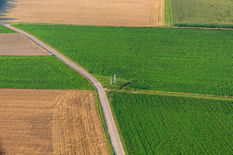 Oblique view of Stealing at the Palatinate Panorama Bench in Herxheim bei Landau in the state Rhineland-Palatinate, Germany