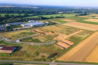 Archaeological excavation at the new W II industrial park in Herxheim bei Landau in the state Rhineland-Palatinate, Germany from above