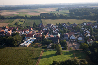 Aerial photograpy of From the south in Erlenbach bei Kandel in the state Rhineland-Palatinate, Germany