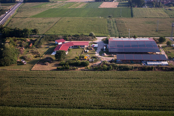 Chicken farm Aussiedlerhof in Erlenbach bei Kandel in the state Rhineland-Palatinate, Germany