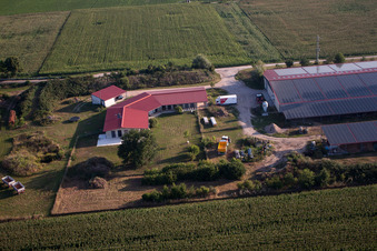 Aerial photograpy of Chicken farm Aussiedlerhof in Erlenbach bei Kandel in the state Rhineland-Palatinate, Germany
