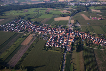 From the north in Erlenbach bei Kandel in the state Rhineland-Palatinate, Germany seen from a drone