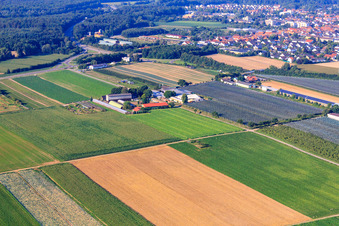 Drone recording of Zapf farm market, fruit and asparagus farm, Zapf farm café in Kandel in the state Rhineland-Palatinate, Germany