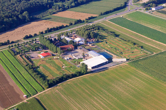 Southern Palatinate Football Golf Park at Adamshof Kandel in Kandel in the state Rhineland-Palatinate, Germany from the drone perspective