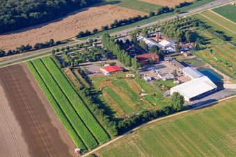 Southern Palatinate Football Golf Park at Adamshof Kandel in Kandel in the state Rhineland-Palatinate, Germany from a drone