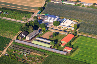 Zapf fruit farm and farm café in Kandel in the state Rhineland-Palatinate, Germany