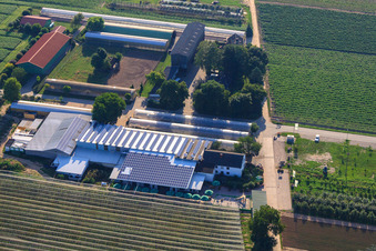 Obsthof Zapf and Hofcafé and Uwe Nauerth - Tobacco production in the Holderbühler Hof and in Kandel in the state Rhineland-Palatinate, Germany from above