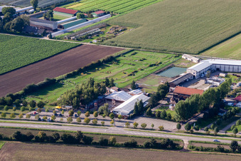 Aerial view of Adamshof Footgolf Course in Kandel in the state Rhineland-Palatinate, Germany