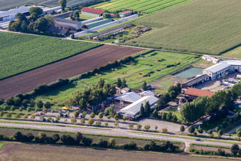 Aerial photograpy of Adamshof Footgolf Course in Kandel in the state Rhineland-Palatinate, Germany