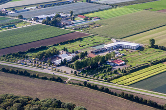 Adamshof Footgolf Course in Kandel in the state Rhineland-Palatinate, Germany from above