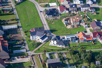 In the tobacco field in Hatzenbühl in the state Rhineland-Palatinate, Germany
