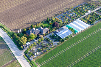 Krüger Nursery in Mutterstadt in the state Rhineland-Palatinate, Germany