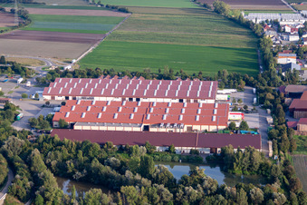 Palatinate market for fruit and vegetables in Mutterstadt in the state Rhineland-Palatinate, Germany
