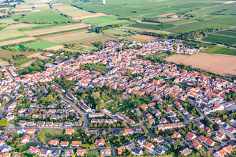 District Lachen in Neustadt an der Weinstraße in the state Rhineland-Palatinate, Germany from the drone perspective