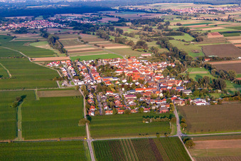 Bird's eye view of District Duttweiler in Neustadt an der Weinstraße in the state Rhineland-Palatinate, Germany