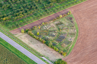 Structures on agricultural fields with a test bed at the edge of the field in the district Eckel in Kleinfischlingen in the state Rhineland-Palatinate