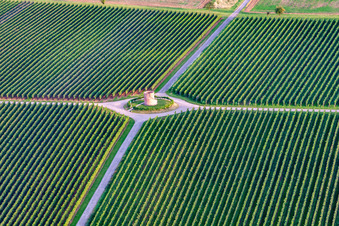 Aerial view of Houschder Winemaker's Tower in the district Niederhochstadt in Hochstadt in the state Rhineland-Palatinate, Germany