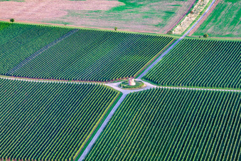 Aerial photograpy of Houschder Winemaker's Tower in the district Niederhochstadt in Hochstadt in the state Rhineland-Palatinate, Germany