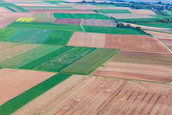 Fields at Schleidgraben in the district Mörlheim in Landau in der Pfalz in the state Rhineland-Palatinate, Germany