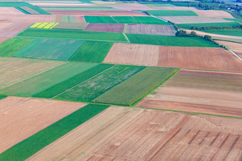 Aerial view of Fields at Schleidgraben in the district Mörlheim in Landau in der Pfalz in the state Rhineland-Palatinate, Germany