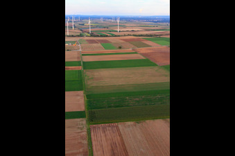 Offenbach wind farm in Offenbach an der Queich in the state Rhineland-Palatinate, Germany