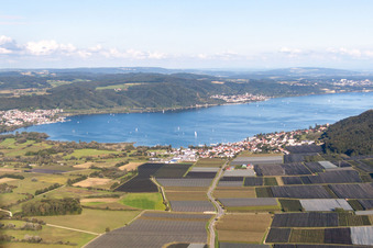 Village on the banks of the area Lake Constance in the district Bodman in Bodman-Ludwigshafen in the state Baden-Wurttemberg from above