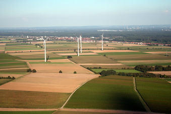 Wind turbines from the west in Minfeld in the state Rhineland-Palatinate, Germany