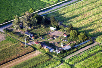 Forwarding agency at the eastern exit of town in Minfeld in the state Rhineland-Palatinate, Germany
