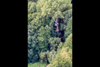 Oblique view of Giant zip line, Fun-Forest camp in Kandel in the state Rhineland-Palatinate, Germany