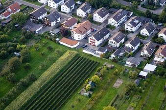 Runzweg in the district Urloffen in Appenweier in the state Baden-Wuerttemberg, Germany out of the air